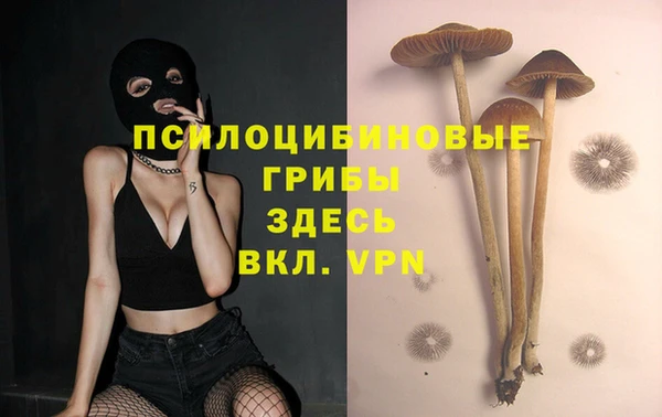 не бодяженный Михайлов