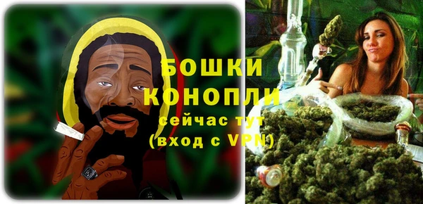 трава Анжеро-Судженск