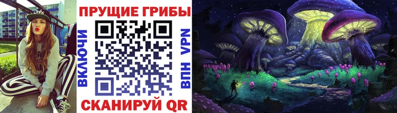 как найти закладки  Нальчик  Псилоцибиновые грибы ЛСД 