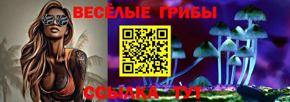 Псилоцибиновые грибы Cubensis Нальчик